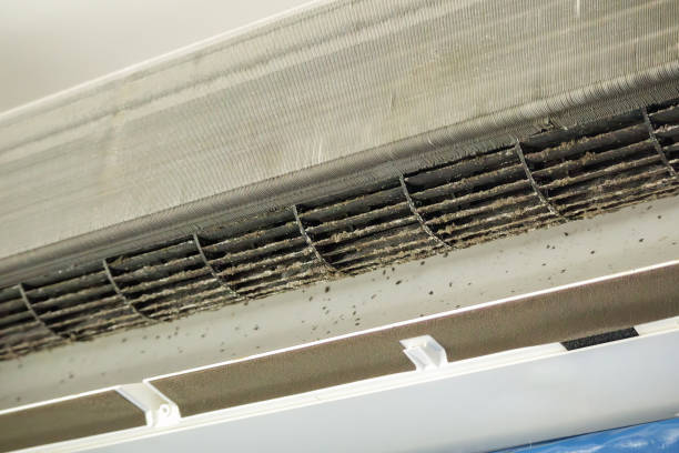 Best HVAC System Cleaning  in Howland Center, OH